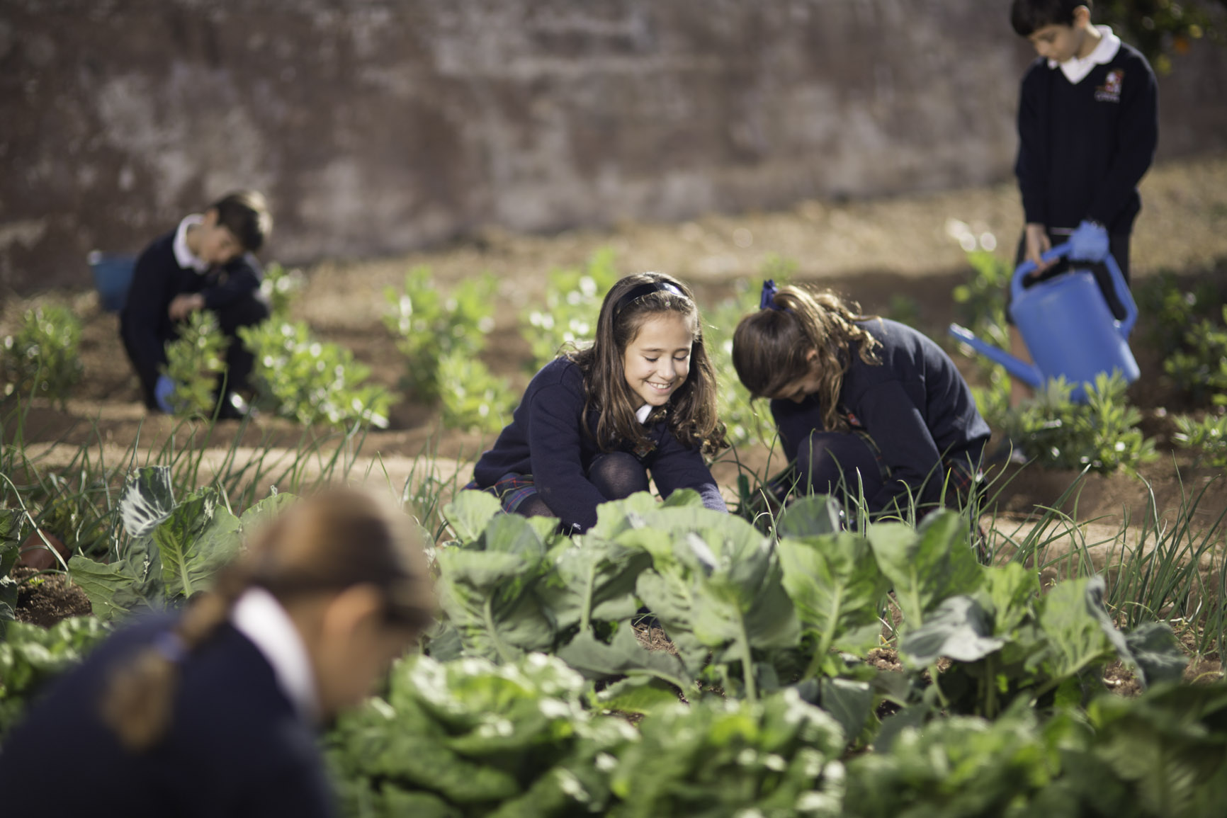 Alumnos cuidando el huerto del colegio